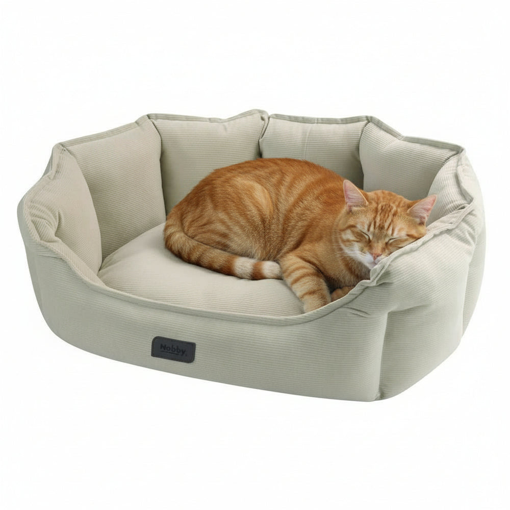 Gemütliches ovales Katzenbett "CORDO" mit einer orangefarbenen Katze, die entspannt in der gepolsterten Liegefläche liegt.