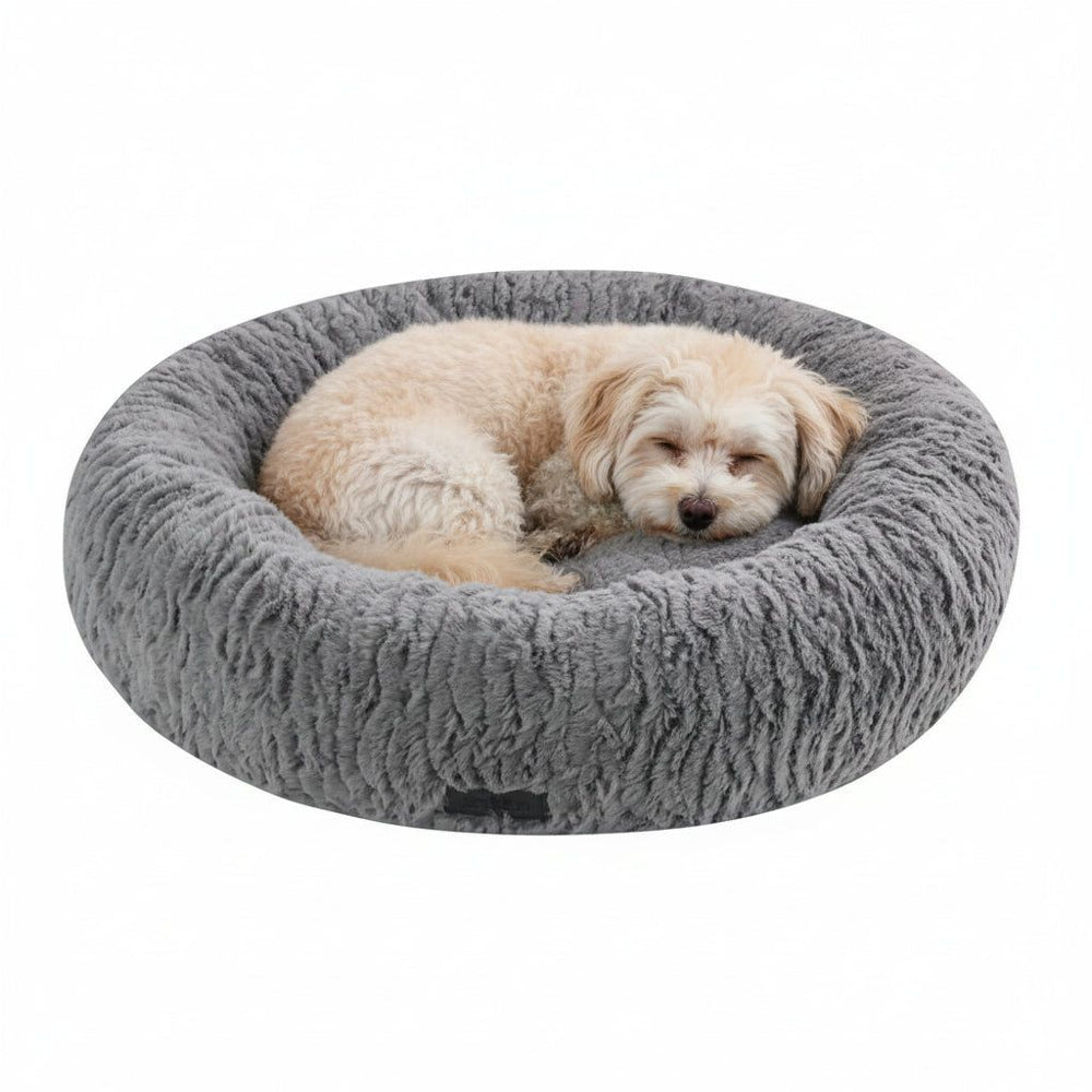 Rundes, graues Hundebett "NOVA" mit plüschigem Material, ein kleiner Hund liegt entspannt und schließt die Augen.