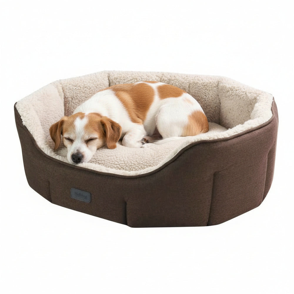 Hundfreundliches ovales Bett "LICA" in braun mit flauschiger Innenauskleidung und entspanntem Hund.