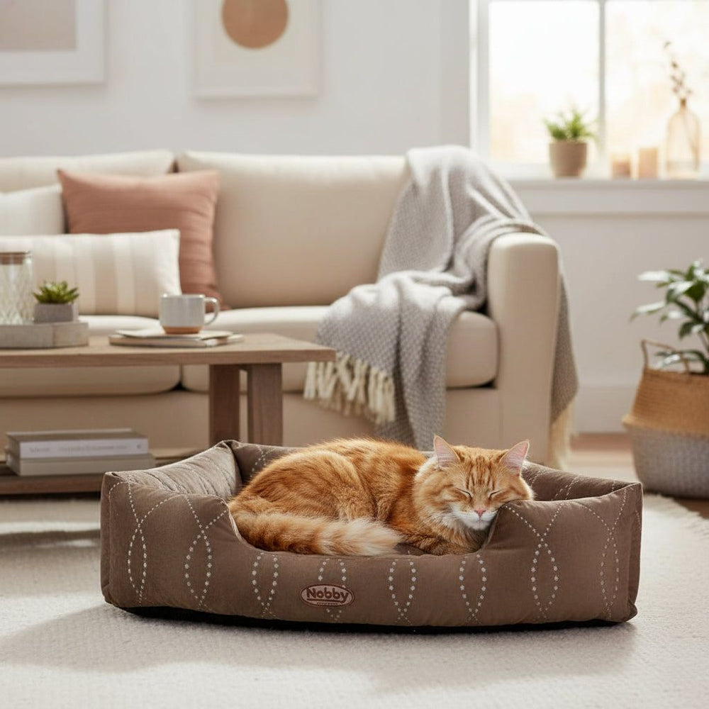 Komfortables Eckbett "CENO" mit orangefarbener Katze im Wohnraum, umgeben von Kissen und Pflanzen. Entspannte Atmosphäre.