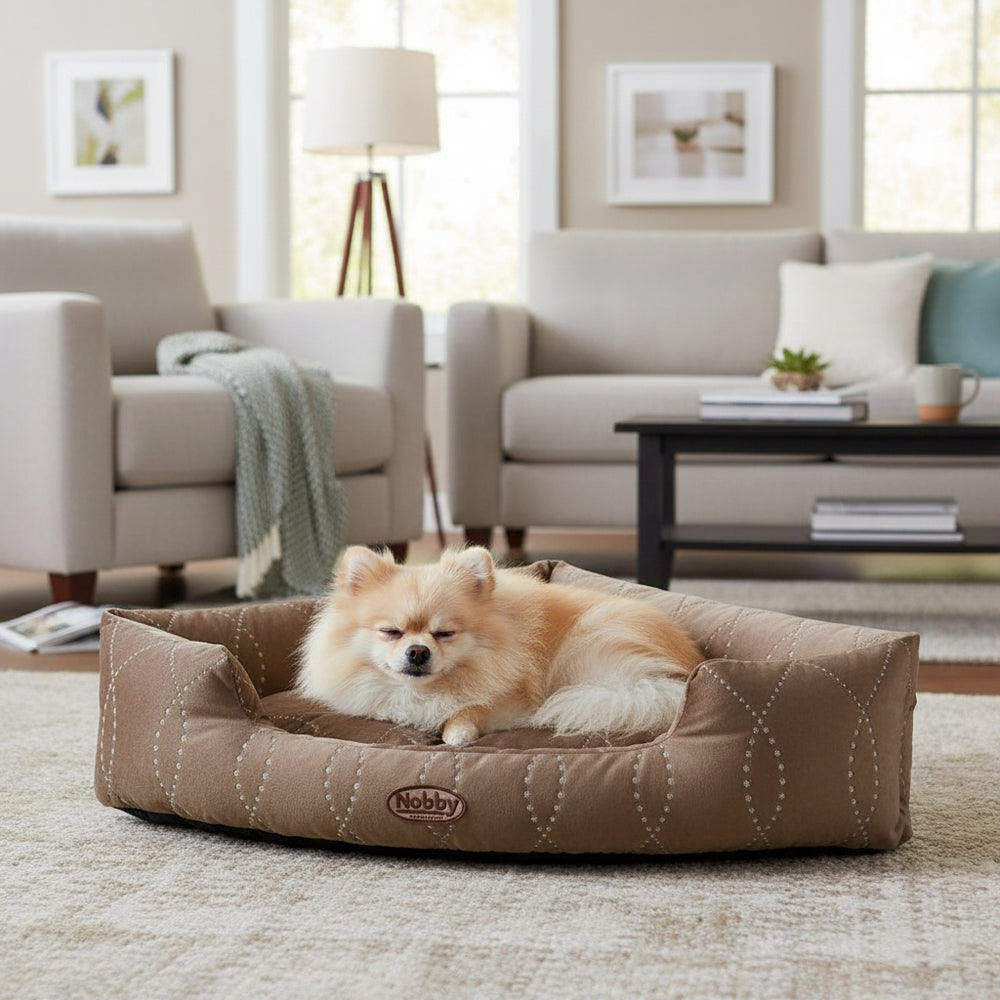 Entspannter Hund auf braunem Eckbett "CENO" in hellem, gemütlichen Raum mit Sofa und Pflanzen.