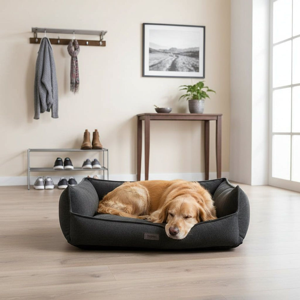 Gemütliches eckiges Hundebett "NILA" mit schlafendem Golden Retriever in modernem Wohnraum.