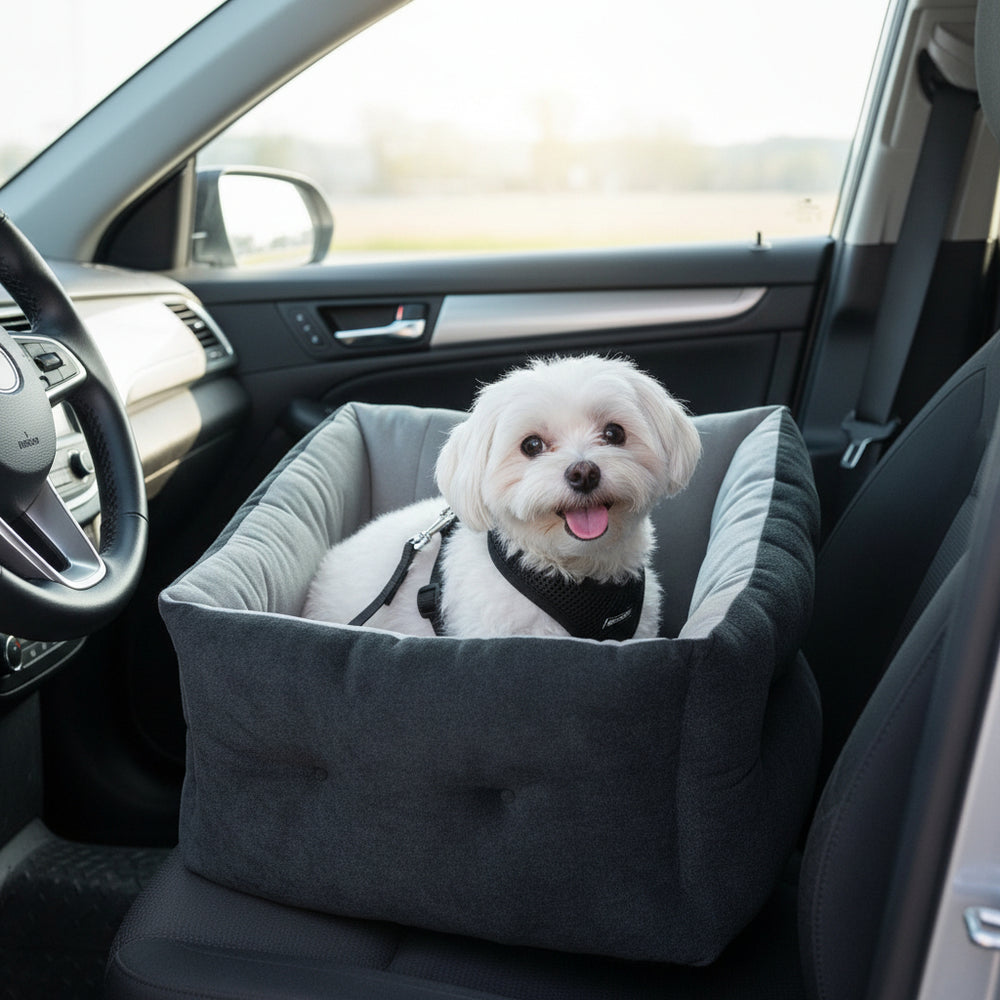 Kleiner, weißer Hund im grauen Autositz mit schwarzem Geschirr, aufmerksam in die Kamera schauend.