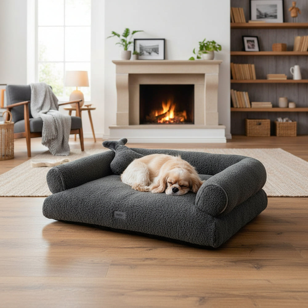 Gemütliches Hundebett "JELLA" mit schlafendem Hund in modernem, einladendem Wohnraum mit Kamin und Bücherregalen.