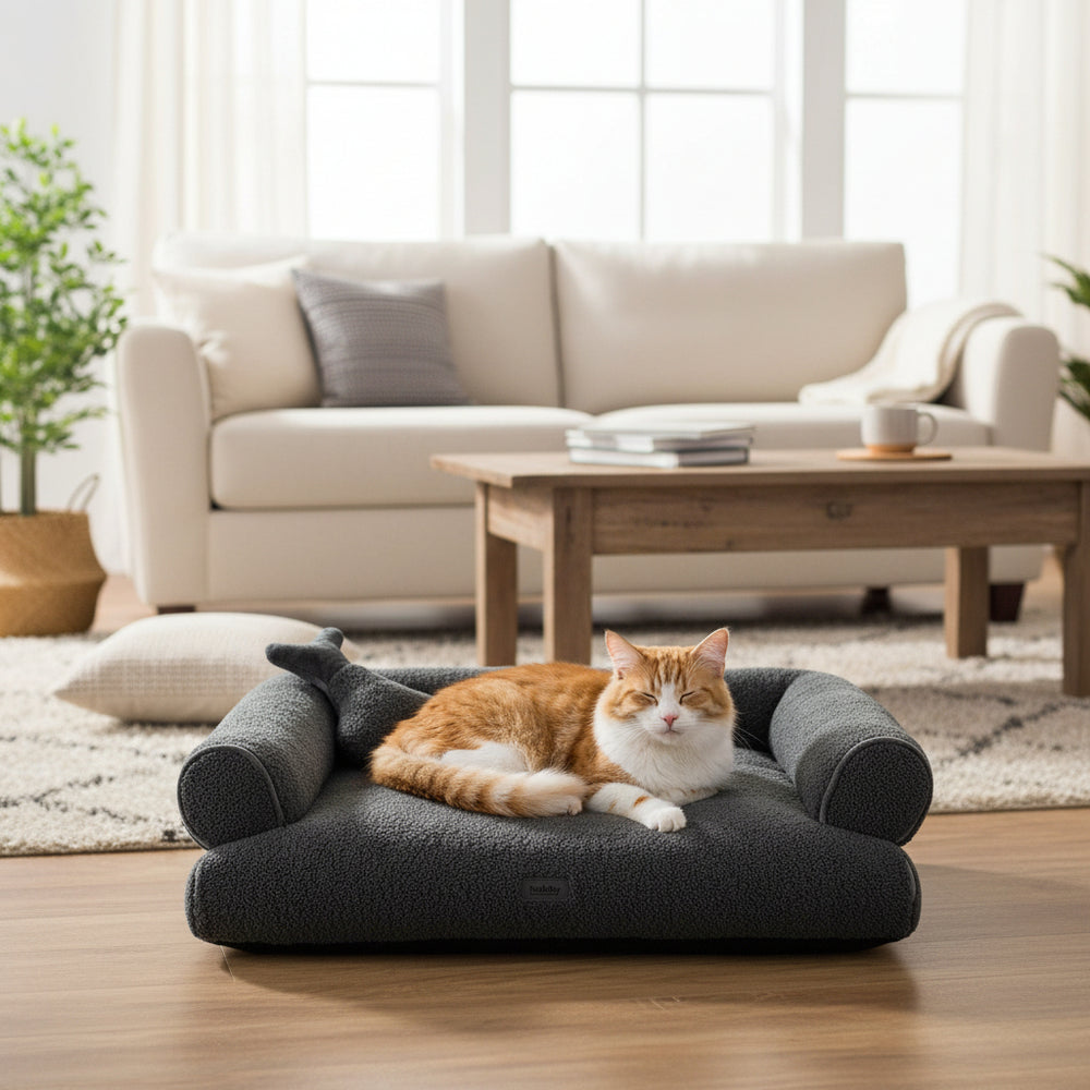 Gemütliches Katzenbett in Dunkel mit entspannter orangefarbener Katze im lichtdurchfluteten Wohnzimmer.