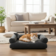 Gemütliches Katzenbett in Dunkel mit entspannter orangefarbener Katze im lichtdurchfluteten Wohnzimmer.