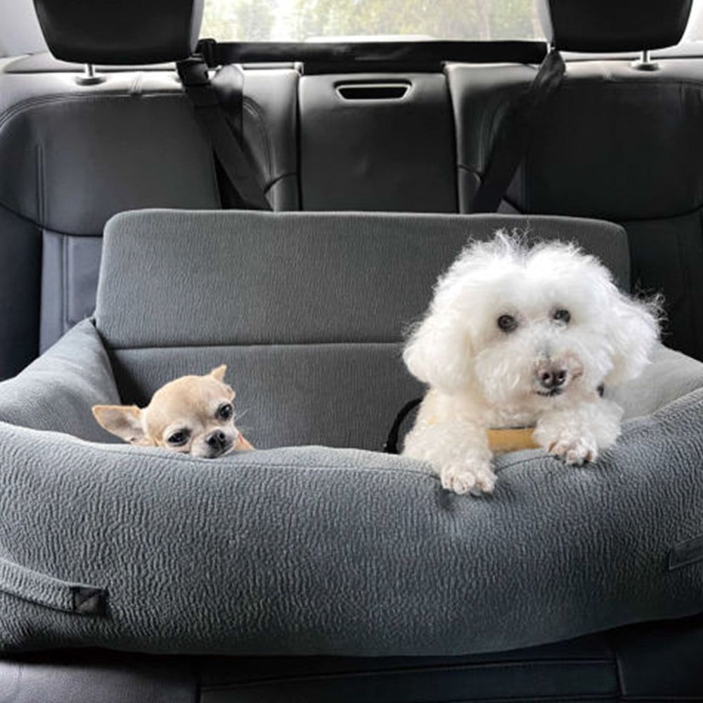 Zwei entspannte Hunde, ein flauschiger weißer und ein brauner, sitzen im gepolsterten Rücksitz eines Autos.