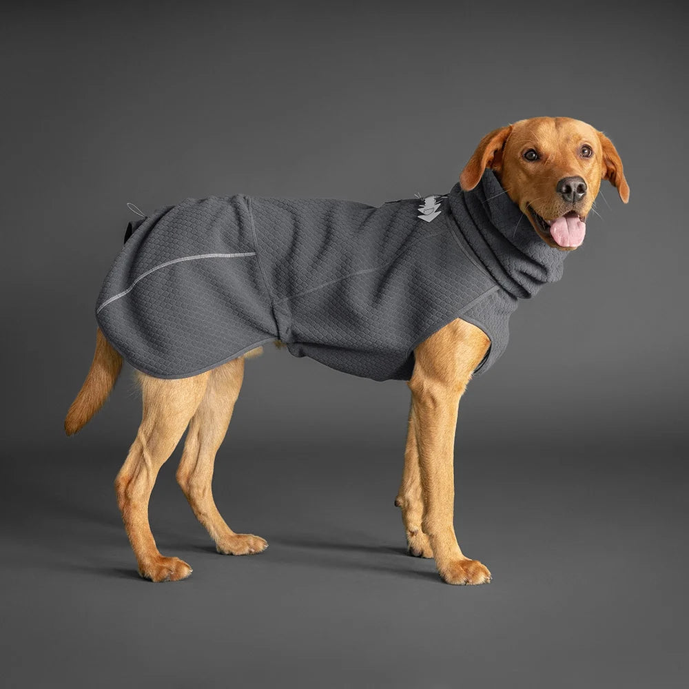 Hund in grauer Hundejacke mit hohem Kragen, freundlich lächelnd, ideal für kalte Tage.