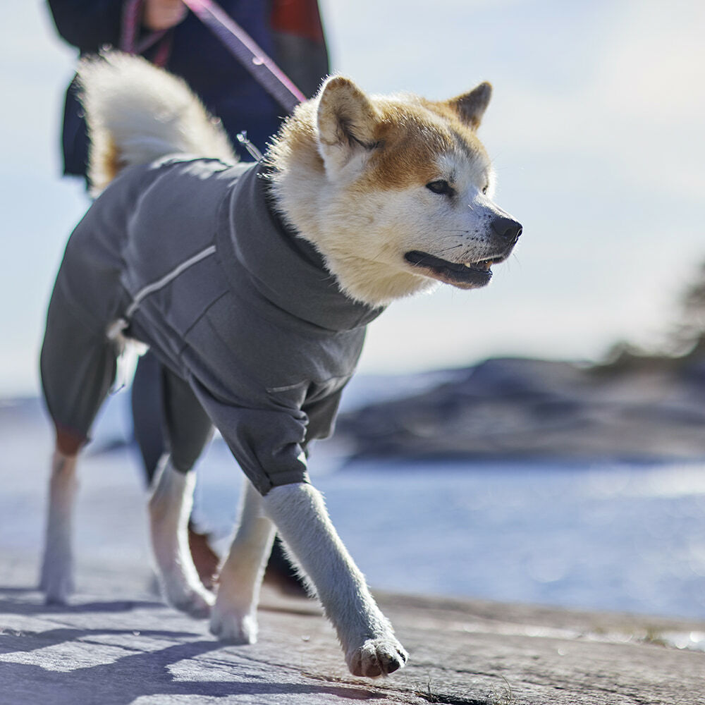 Hunde Overall Midlayer – zusätzliche Produktansicht 2