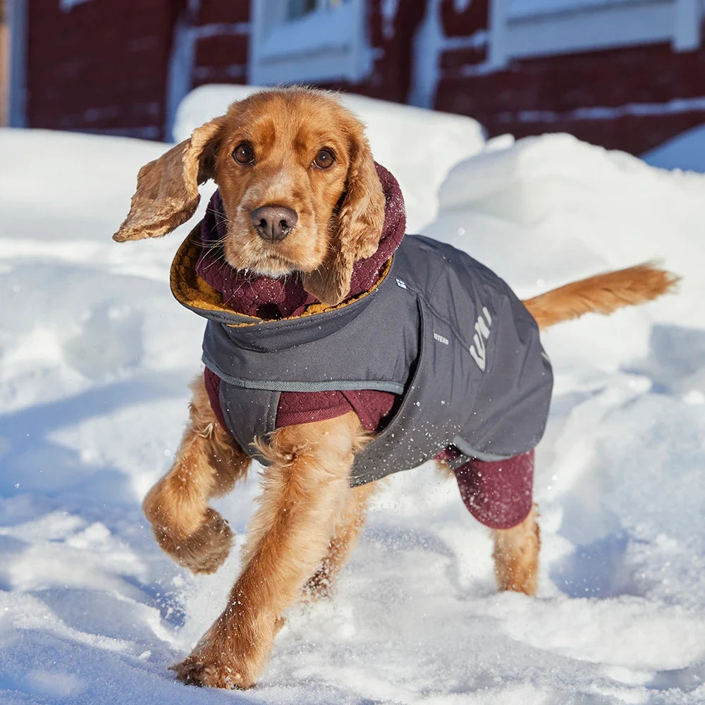 Walk All-Season – Hundejacke – zusätzliche Produktansicht 3