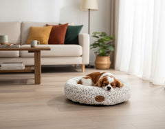 Schlafender Hund auf einem runden, weichen Hundebett in einem gemütlichen Wohnraum mit Sofa und Kissen.