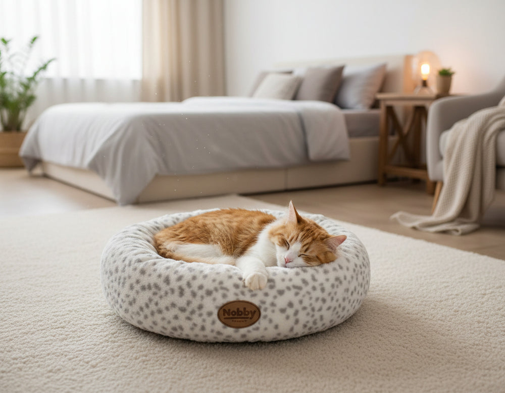 Gemütliches, rundes Katzenbett mit hellen Punkten, in dem eine orange-weiße Katze entspannt schläft.