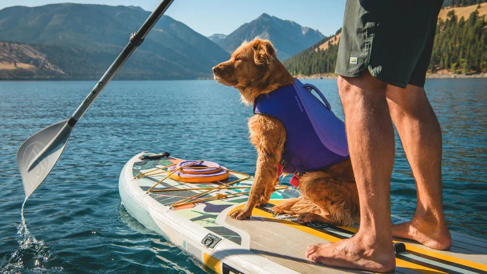 Person auf einem Stand-Up-Paddle-Board mit Hund in Schwimmweste, umgeben von Bergen und einem ruhigen See im Sommer.