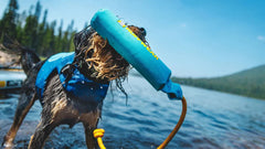 Hund im Wasser mit Schwimmweste und blauer Schwimmnudel, umgeben von Bäumen und klarem Himmel. Spaß beim Spielen!