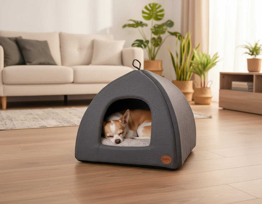 Gemütlicher Hundekorb in Hausform mit schlafendem Hund im stilvollen Wohnzimmer mit Pflanzen und Sofa.