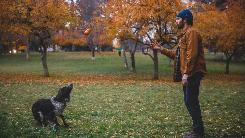 Mann im Park spielt mit seinem schwarzen Hund, trägt braune Jacke und blaue Mütze, Ball in der Hand.