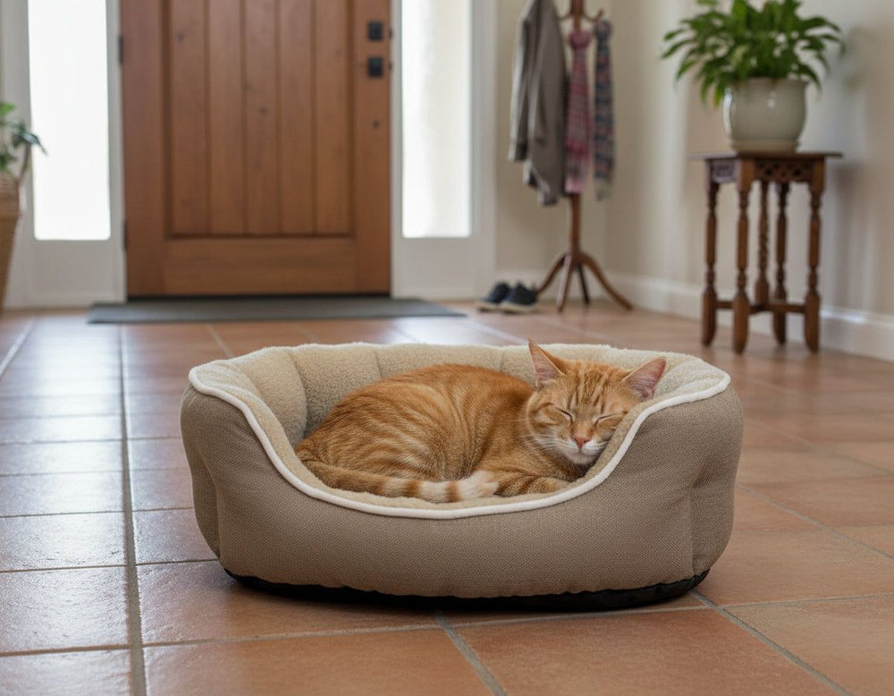 Eine orangefarbene Katze schläft entspannt in einem beigen Katzenbett im hellen Eingangsbereich.