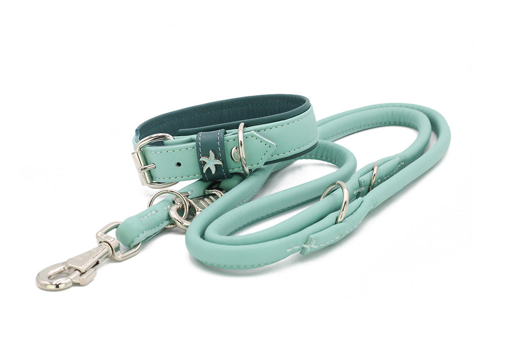 Mintgrünes Hundehalsband mit Schnalle und stabiler Leine in geflochtener Optik für optimalen Komfort und Stil.