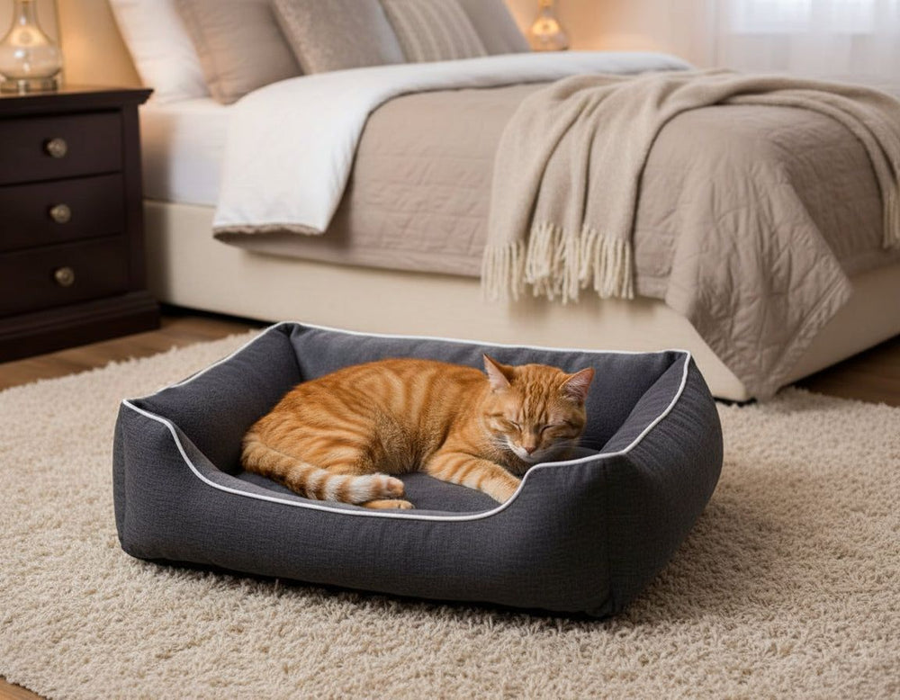Gemütliches Schlafzimmer mit Komfortbett „Purus“ und schlafender orangefarbener Katze im dunklen Katzenbett.