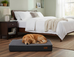 Hund schläft auf orthopädischer Matte "OSSO" in gemütlichem Schlafzimmer mit Bett und Holztisch.