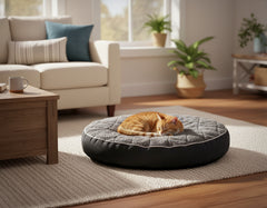 Orthopädisches Kissen "OSSO" in gemütlicher Wohnzimmereinrichtung mit orangefarbenem Kater im Katzenkorb.