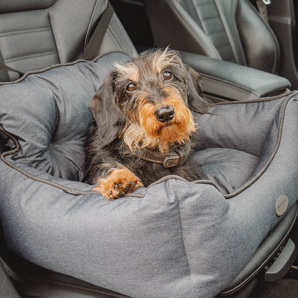 Hund im gepolsterten Autositz blickt direkt in die Kamera, umgeben von grauem Stoff.