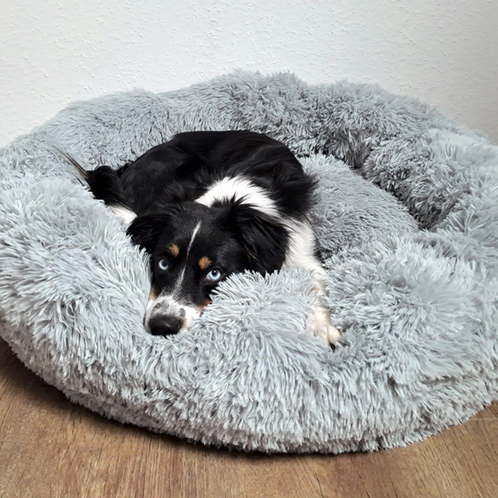 "Entspannter Hund im grauen Kuschelbett Donut 'ESLA' mit flauschiger Oberfläche und blauen Augen."
