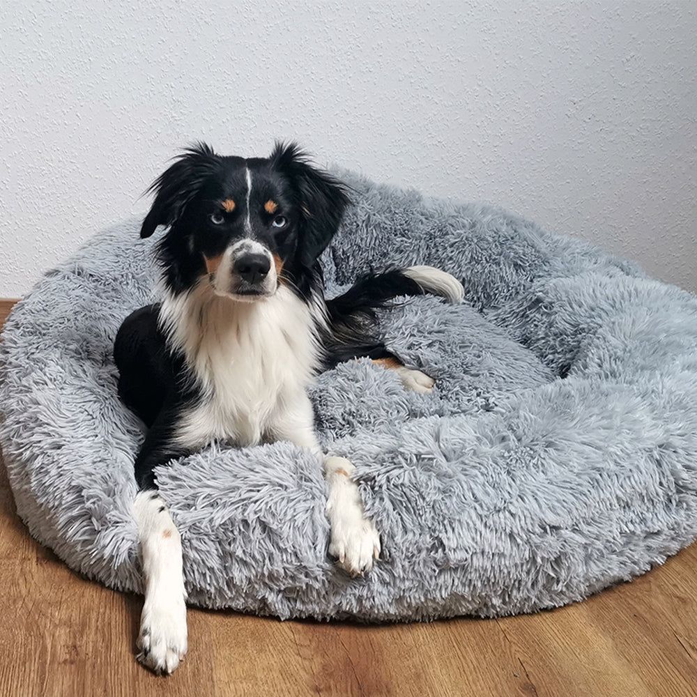 Schwarz-weißer Hund liegt auf grauem Kuschelbett "ESLA" und schaut die Kamera an. Ideal für gemütliche Freizeit.