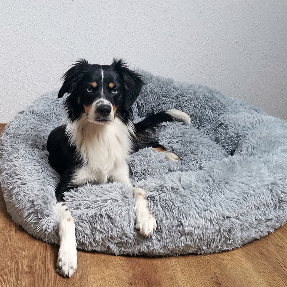 Schwarz-weißer Hund liegt auf grauem Kuschelbett "ESLA" und schaut die Kamera an. Ideal für gemütliche Freizeit.
