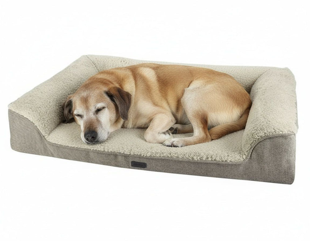 Schlafender Hund auf dem orthopädischen Sofa "CALBU" mit hohem Rand und bequemer, gepolsterter Liegefläche.