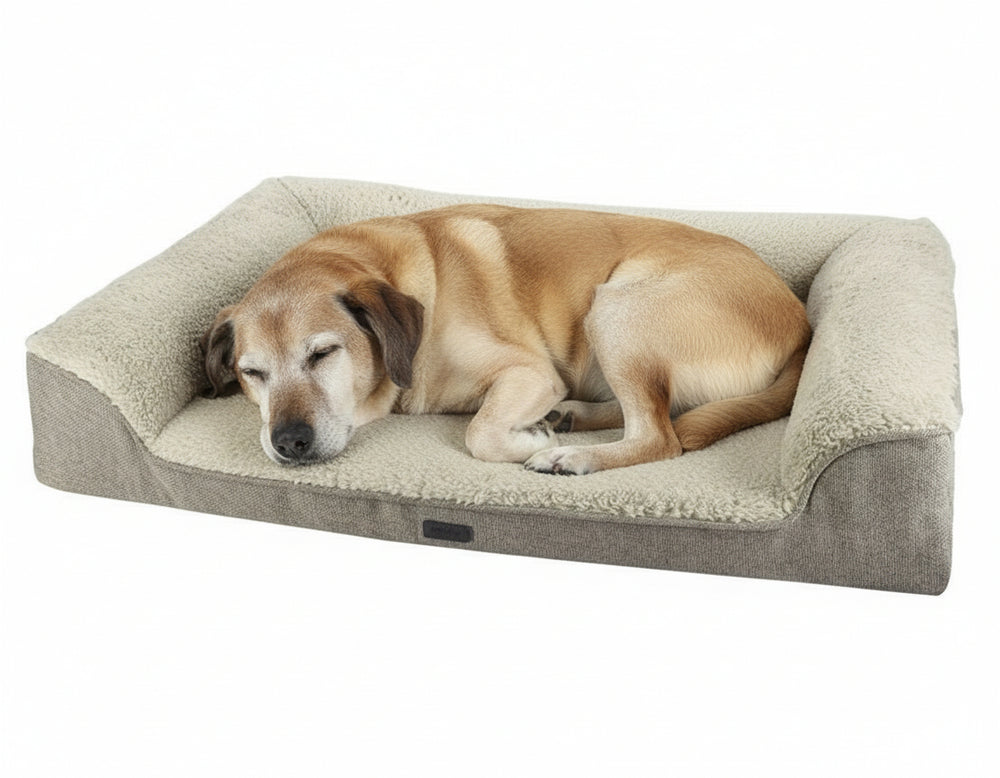 Schlafender Hund auf dem orthopädischen Sofa "CALBU" mit hohem Rand und bequemer, gepolsterter Liegefläche.