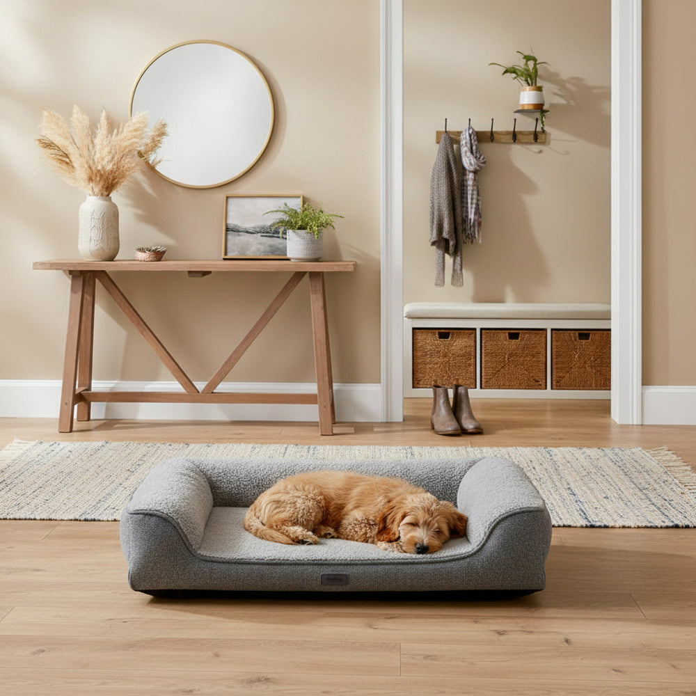 Gemütlicher Raum mit grauem Hundebett "CALBU", Holzstuhl und dekorativen Pflanzen im Hintergrund.