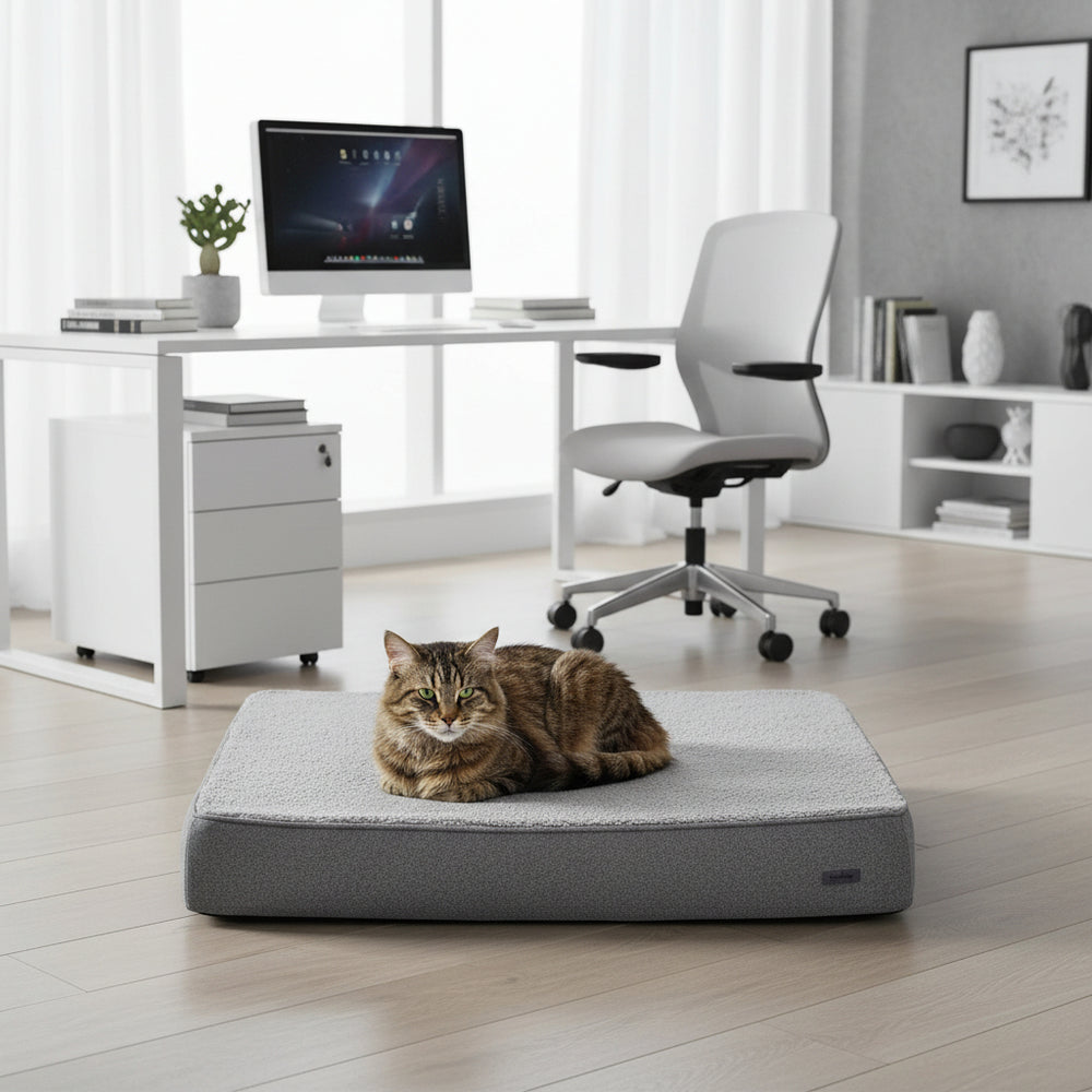 Graues Katzenbett "CALBU" in modernem Büro, Katze entspannt darauf, Schreibtisch und Computer im Hintergrund.