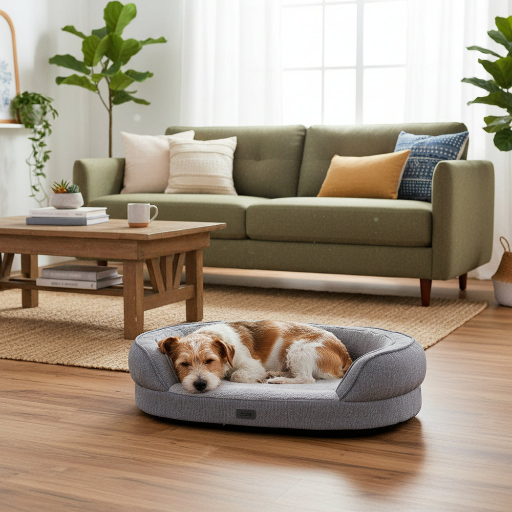 Kleiner Hund mit braun-weißen Fell schläft entspannt im grauen Komfortbett oval "AMCA" in einem gemütlichen Wohnzimmer.