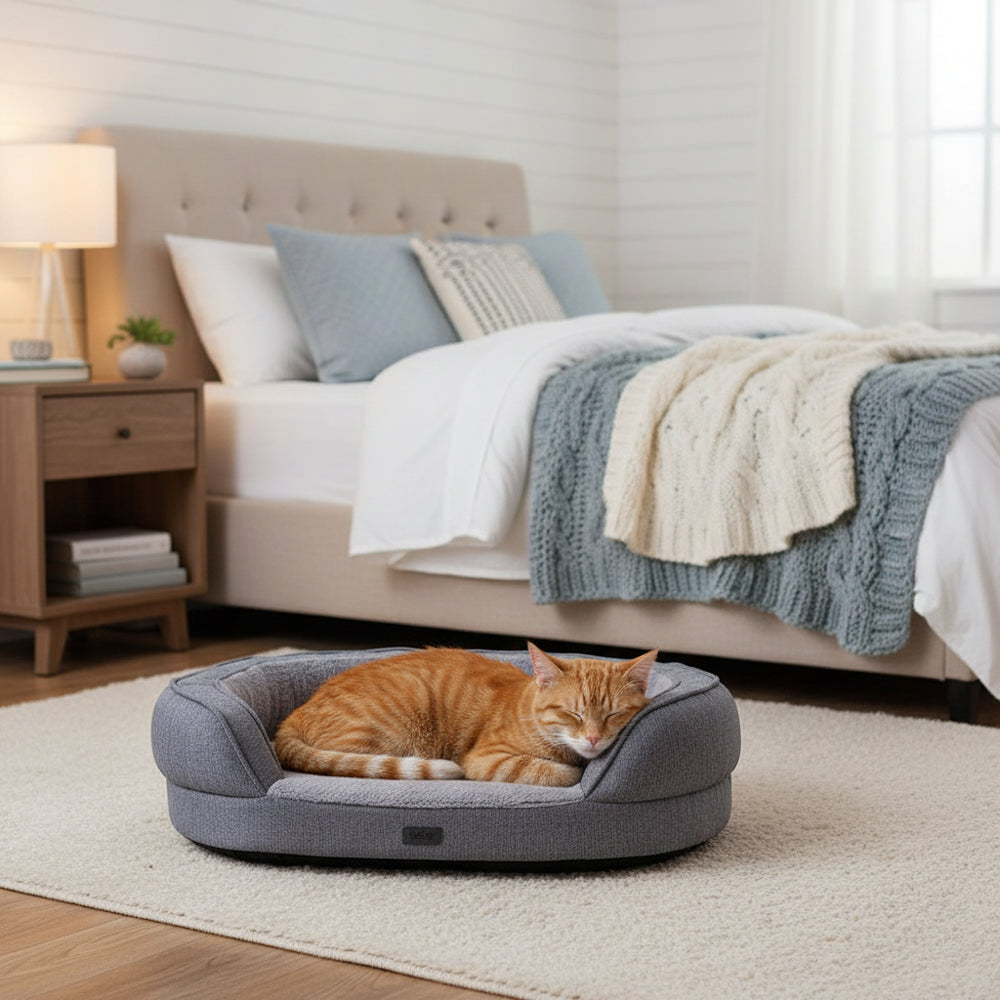Gemütliches Schlafzimmer mit ovalem grauem Bett "AMCA" und schlafender orangefarbener Katze auf Teppich.