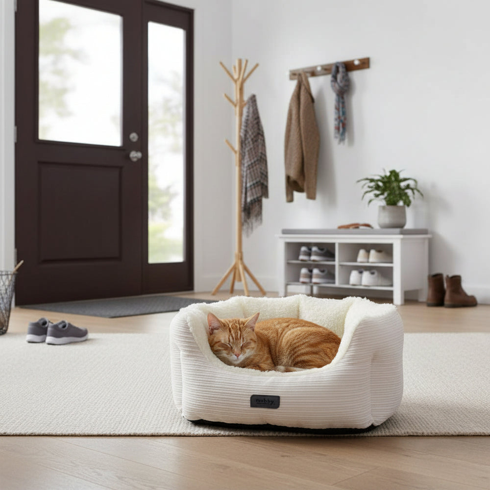 "Gemütliches ovales Katzenbett 'KAMBA' mit schlafender orangefarbener Katze in einem hellen Raum."