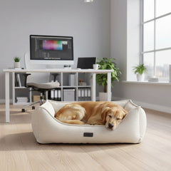 Schlafender Hund im hellen Komfortbett "KAMBA" in modernen Büro mit Tageslicht und Pflanzen.