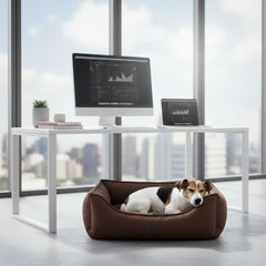 Modernes Büro mit Stadtansicht, Hund im beigen Bett und Schreibtisch mit Computer-Monitor. Komfortbett "KAMBA" in Braun.