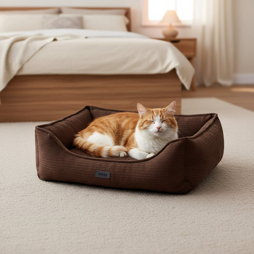 Gemütliches braunes Komfortbett "KAMBA" mit orange-weißer Katze in entspannter Pose. Stilvolle Schlafzimmer-Einrichtung.