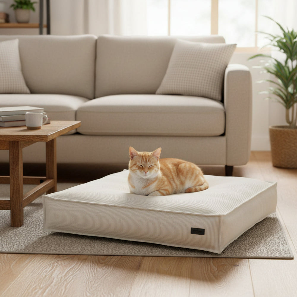 Gemütliches Wohnzimmer mit beige Komfortmatte, Sofa und entspannter orange-weißer Katze auf Katzenkissen.