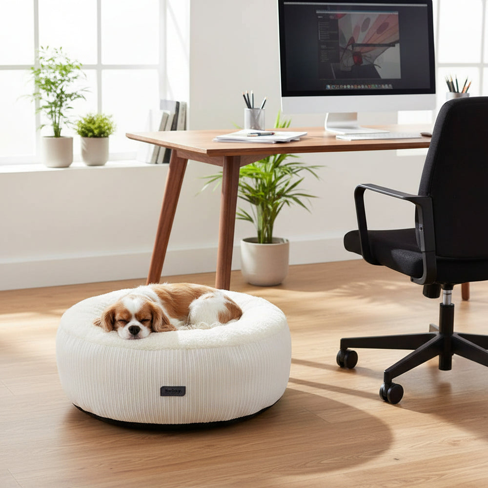 Komfortbett Donut "Kamba" mit einem schlafenden Hund in einem hellen Raum, ideal für Haustiere und Schlafzimmer.