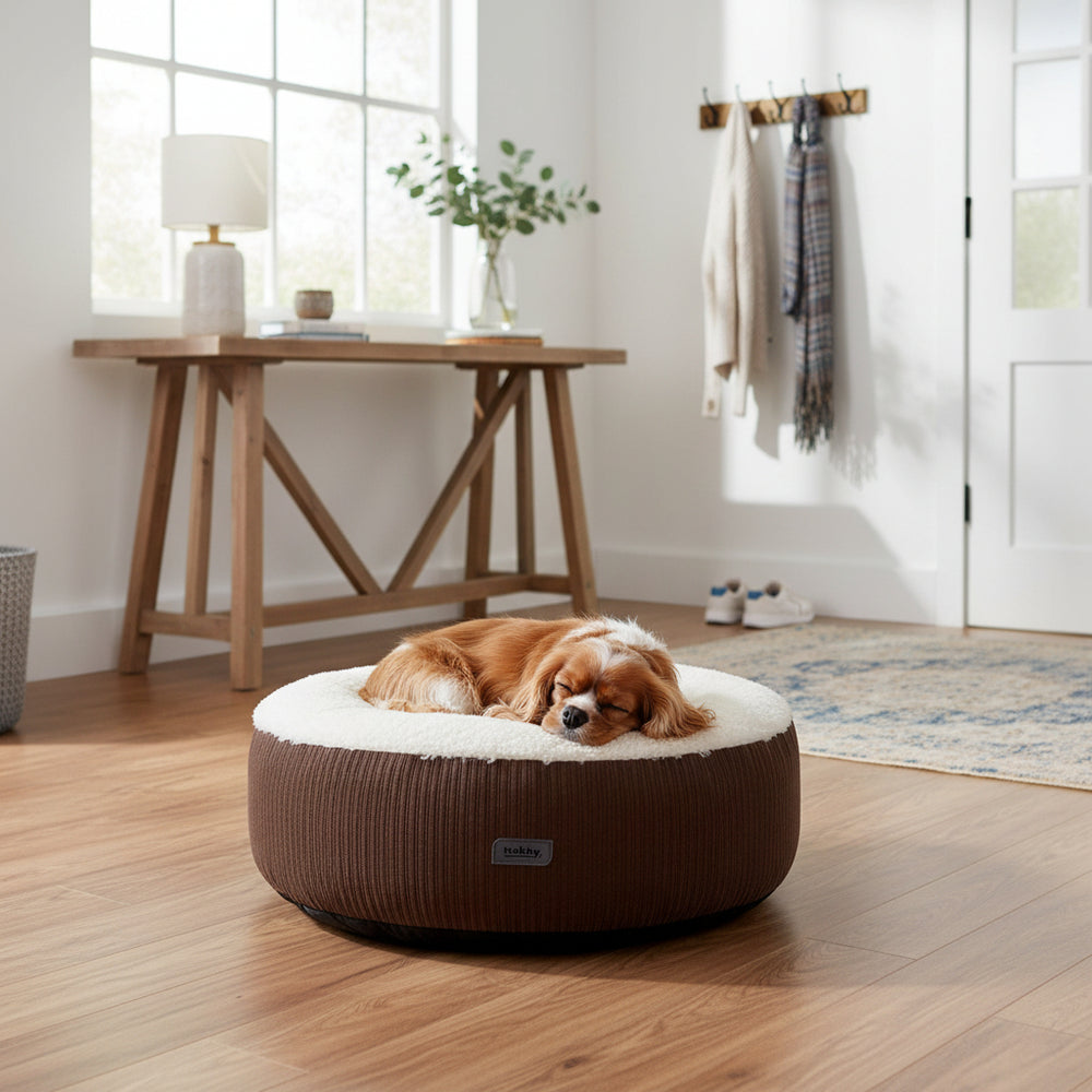 Rundes Hundebett "Kamba" in Braun mit weichem Innenbereich, darauf ein schlafender Setter in gemütlicher Umgebung.