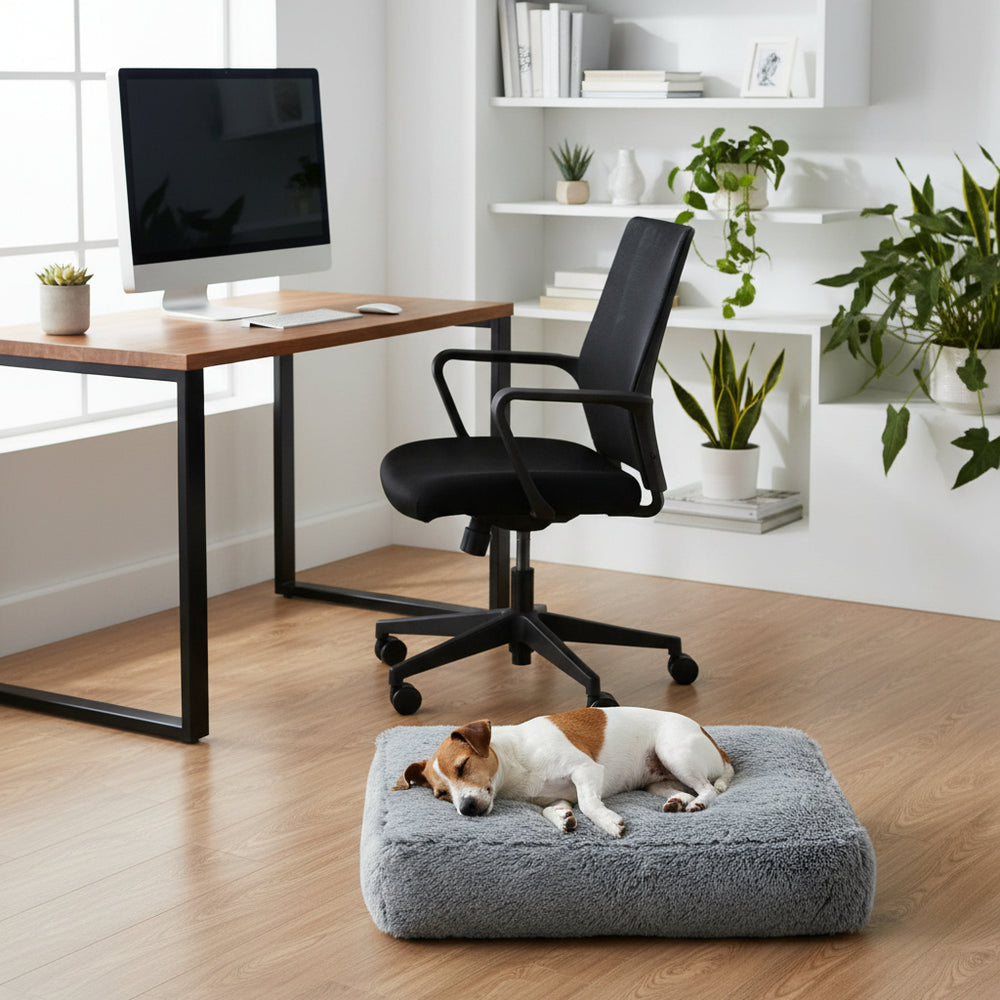 "Graues Hundebett 'NURU' im modernen Arbeitsbereich mit Schreibtisch und schwarzem Bürostuhl."