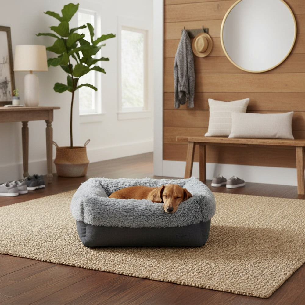 Gemütlicher Hund entspannt in rechteckigem Komfortbett "NURU" mit grauem Rand in modernem, lichtdurchflutetem Raum.
