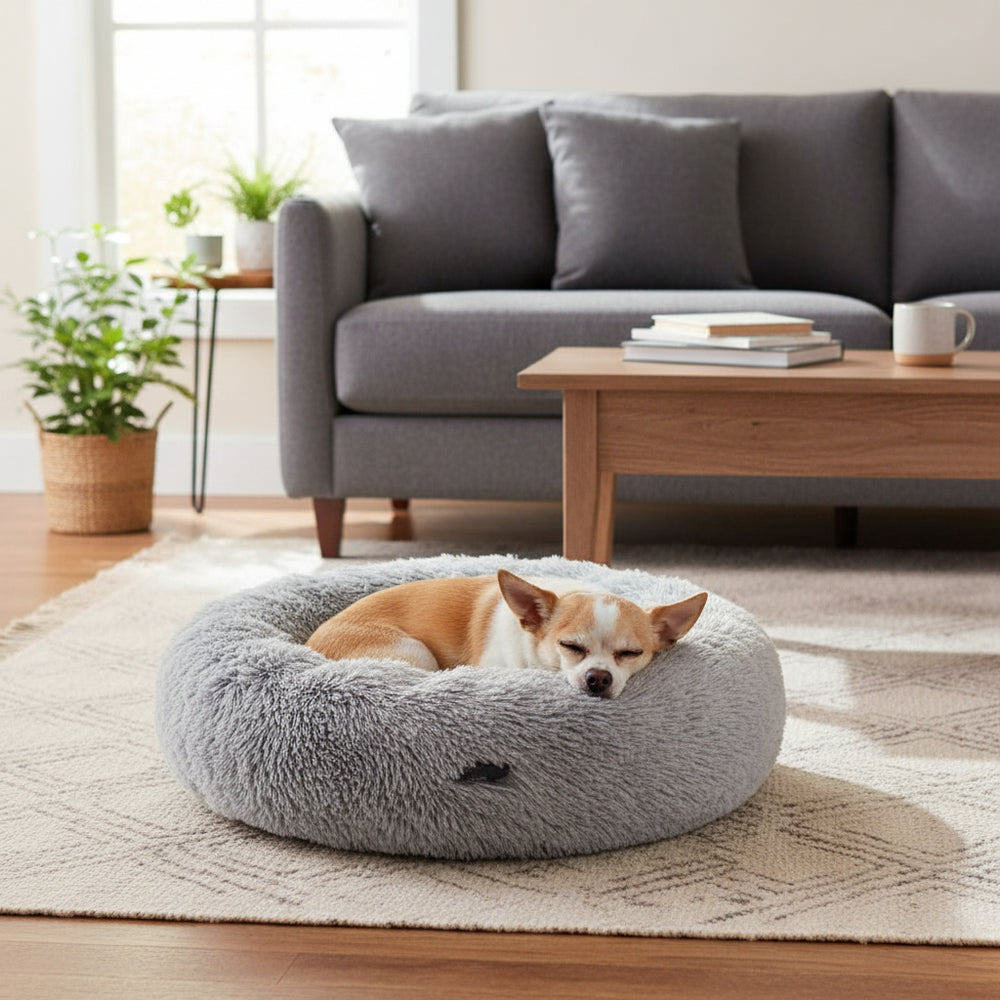 Hund schläft auf grauem, plüschigem Donut-Komfortbett in modernem Wohnzimmer.