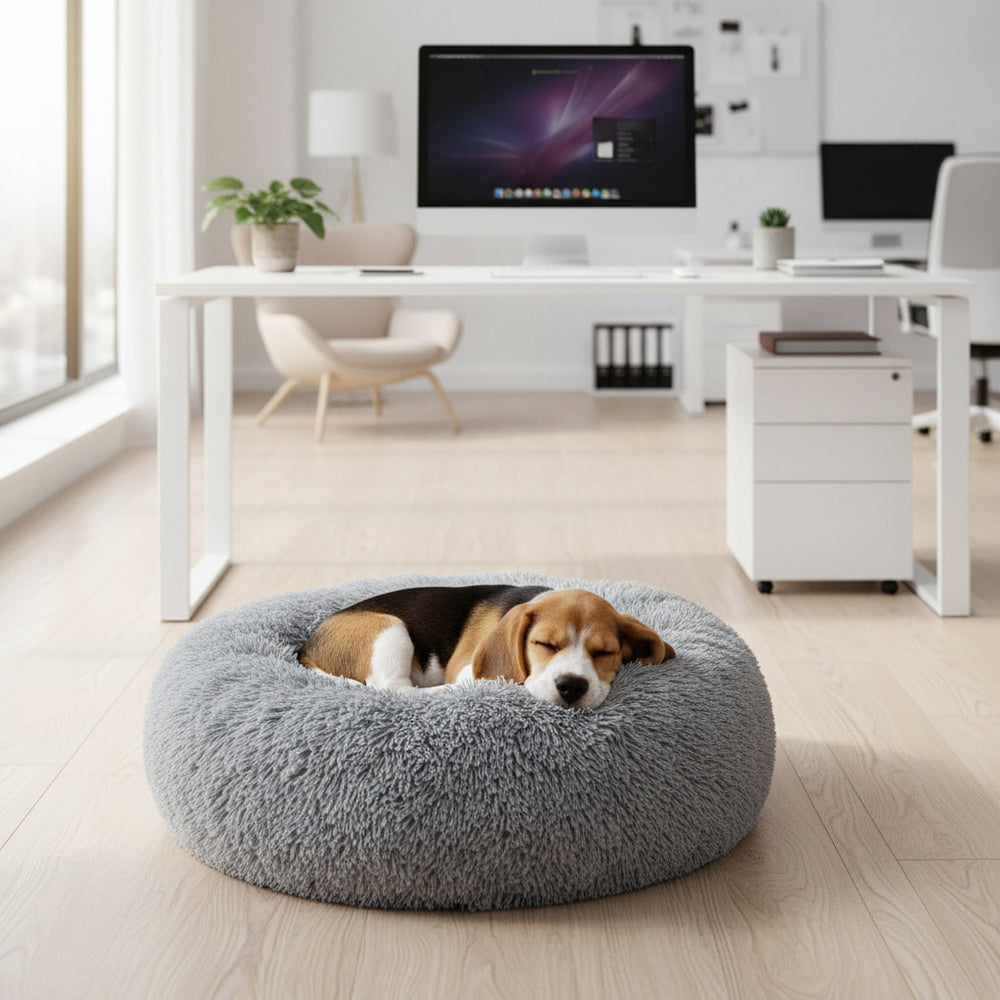 Rundes Komfortkissen "NURU" in grau mit schlafendem Beagle in modernem Büro-Setting.