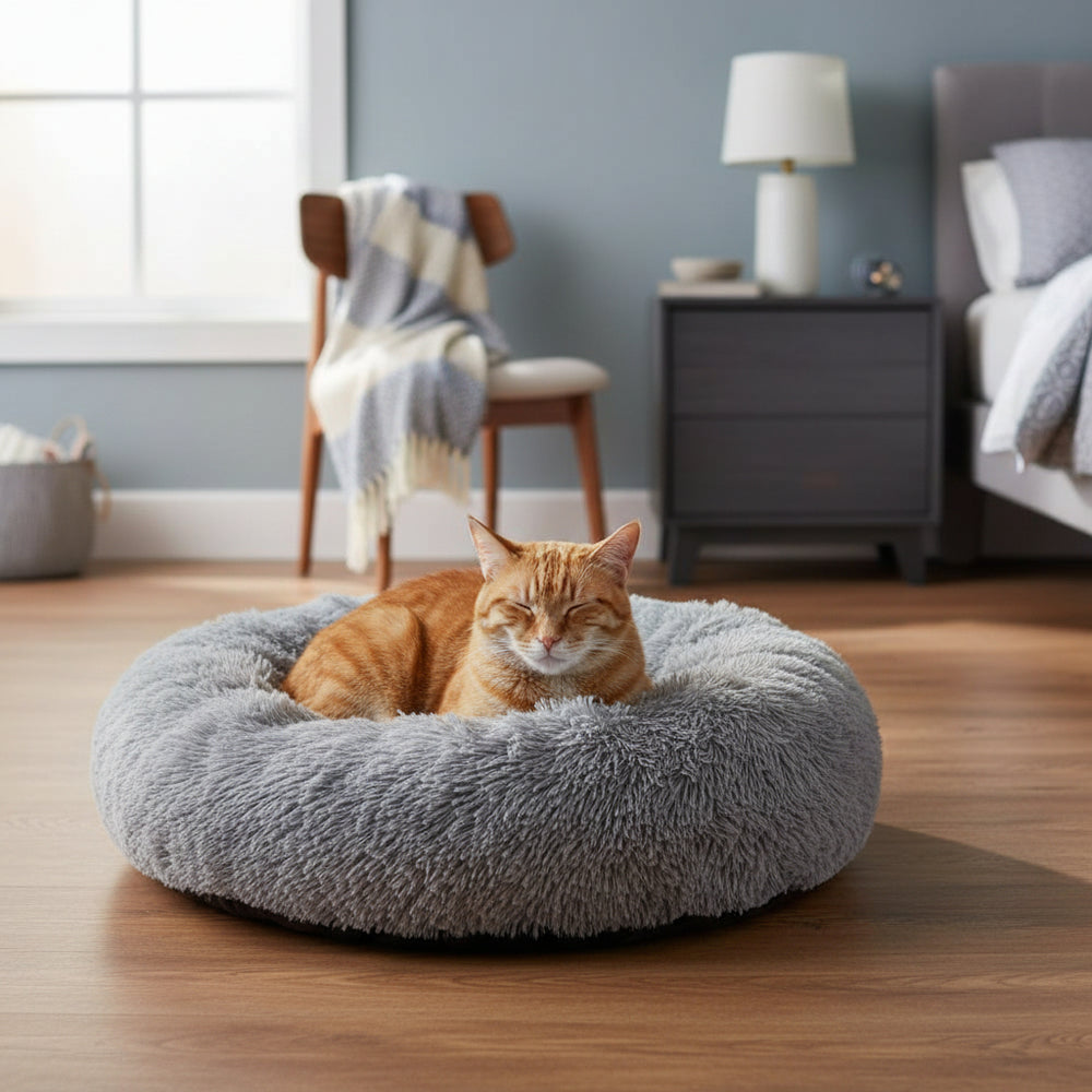 Orangefarbene Katze entspannt in rundem grauen Katzenbett in modernem Raum mit Bett und Nachttisch.