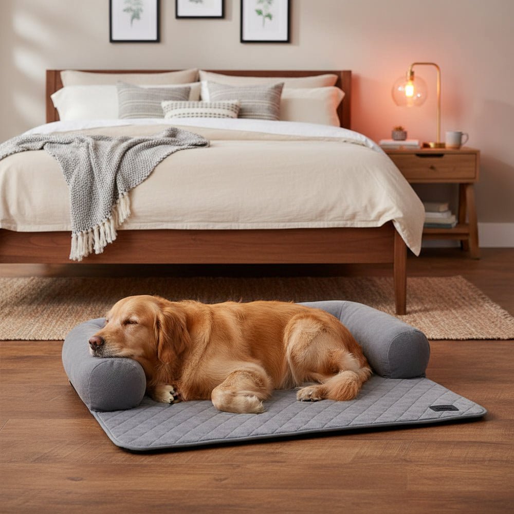 Golden Retriever entspannt auf grauer Sofamatte "Penka" im Schlafzimmer, umgeben von einem gemütlichen Bett und Wandbildern.