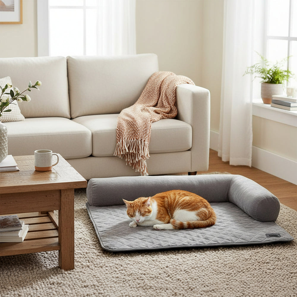 Gemütliches Wohnzimmer mit beigem Sofa, Decke und grauer Katzenmatte für schlafende rot-weiße Katze.