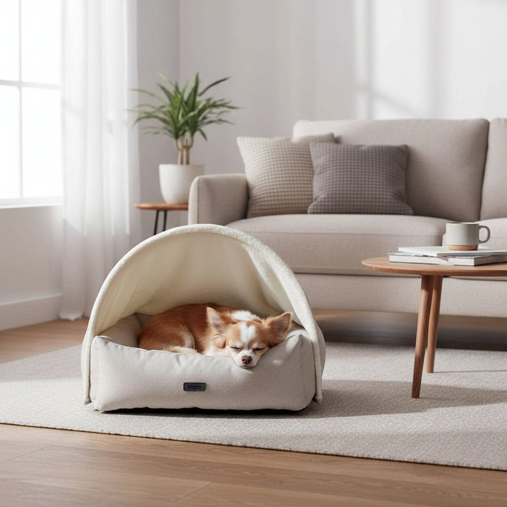 Kleiner Hund schläft gemütlich in ovalem Komfortbett "ILANA" mit Höhle in modernem Wohnzimmer.